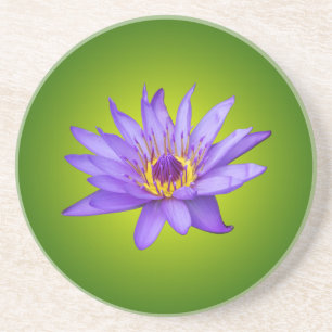 Water Lily Flower Pond Aquatic Purple Water Bloom Coaster