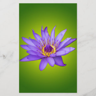 Water Lily Flower Pond Aquatic Purple Water Bloom Stationery