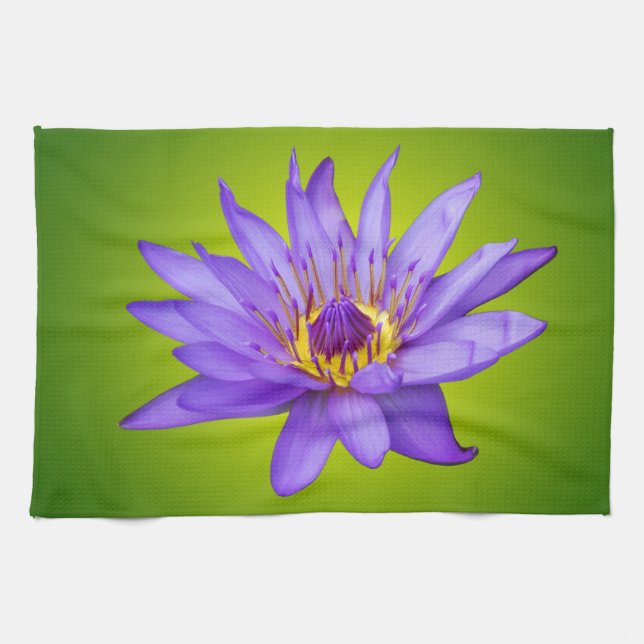 Water Lily Flower Pond Aquatic Purple Water Bloom Tea Towel (Horizontal)