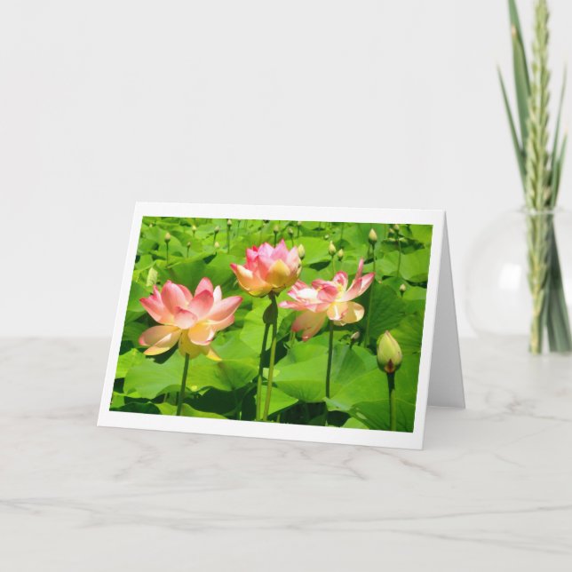 Water Lily Greeting Card (Front)