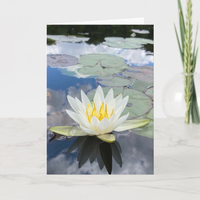 water lily greeting card (blank inside) (Front)
