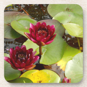 Water Lily Hard Plastic Coaster