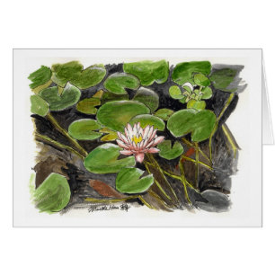 water lily in a pond