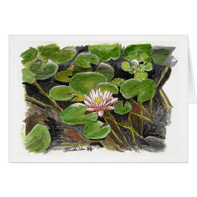 water lily in a pond (Front Horizontal)