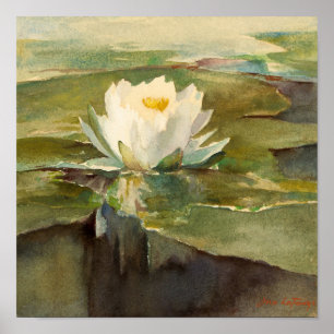 Water Lily in Sunlight John La Farge Poster