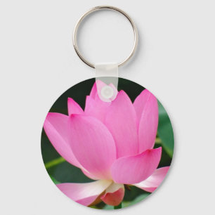 Water Lily in the Pond Key Ring