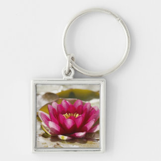 Water lily key ring