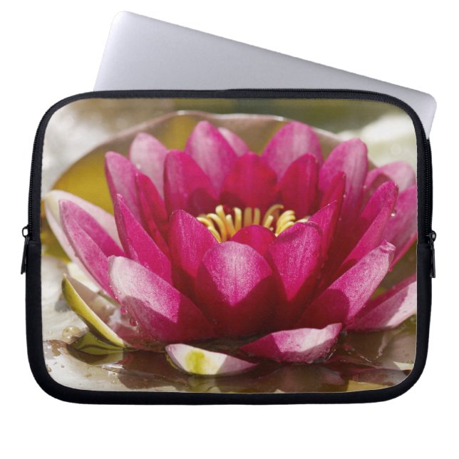 Water lily laptop sleeve (Front)