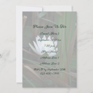 Water Lily Lotus Blossom Floral Invitation