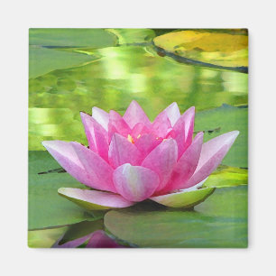 Water Lily Magnet
