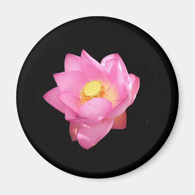 Water Lily Magnet (Front)