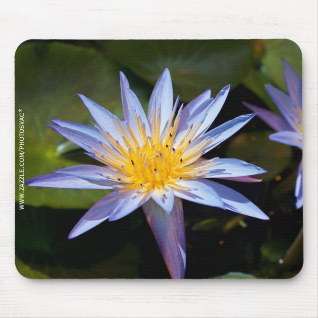 Water Lily Mouse Mat (Front)
