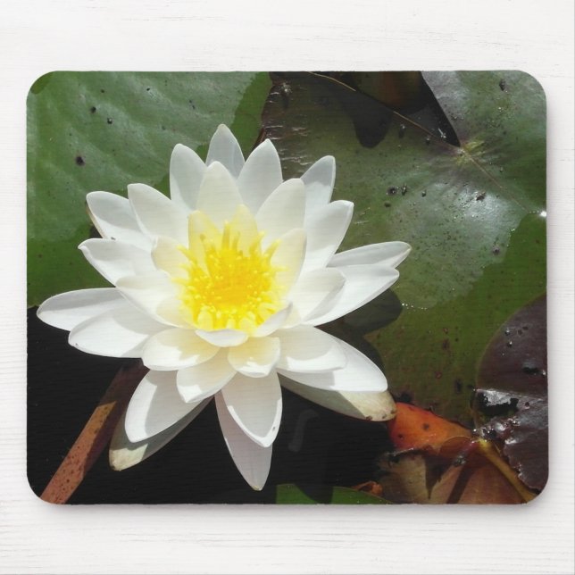 Water Lily Mouse Mat (Front)