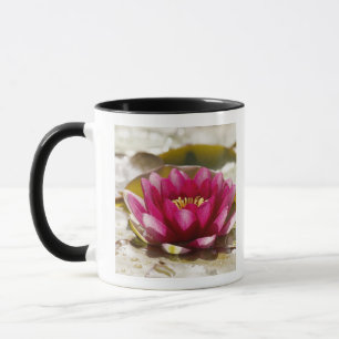 Water lily mug