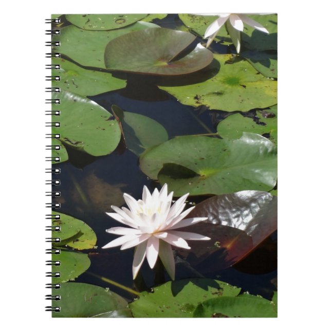Water Lily Notebook (Front)