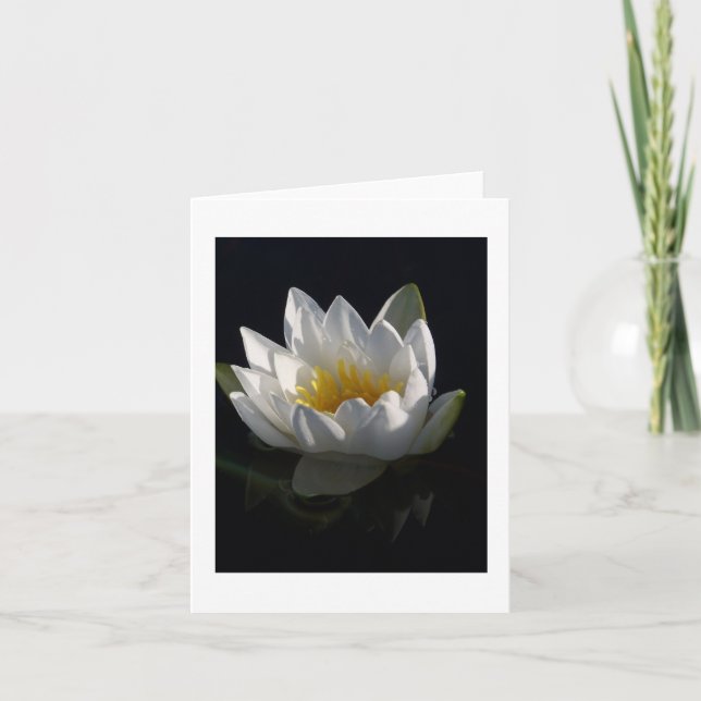 Water Lily Notecard (Front)