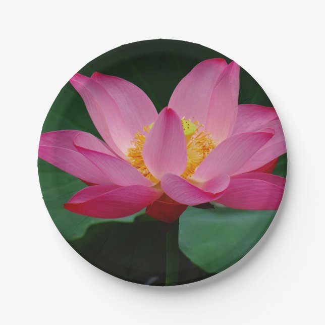 Water Lily Paper Plate (Front)