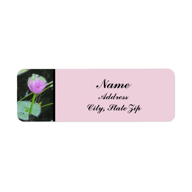 Water Lily Photo Beautiful Pink Purple Bloom (Front)