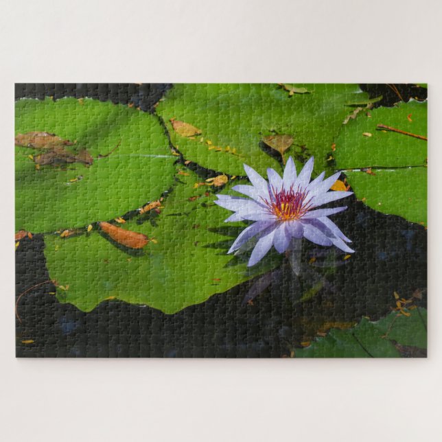 Water Lily Photo Jigsaw Puzzle (Horizontal)