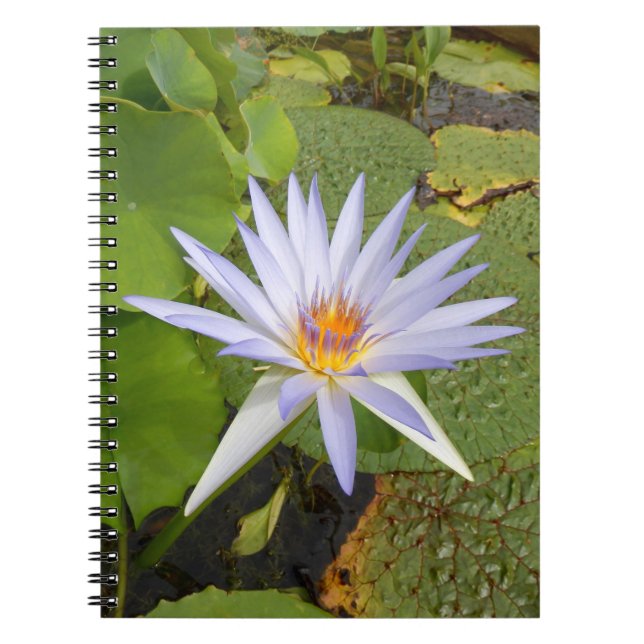 Water Lily Photo Notebook (Front)