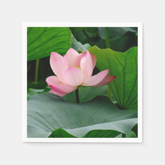 Water Lily Pink Napkin (Front)