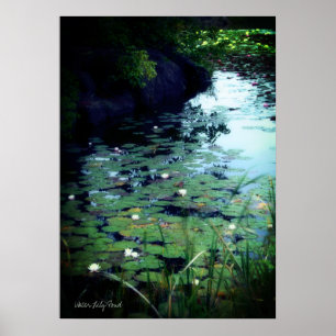 Water Lily Pond:Heavy Weight Paper Archive Poster