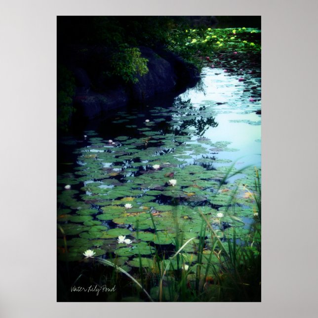 Water Lily Pond:Heavy Weight Paper Archive Poster (Front)