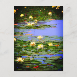 Water-Lily Pond :Postcard Postcard