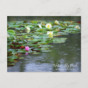Water-Lily Pond :Postcard Postcard