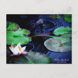 Water-Lily Pond :Postcard Postcard