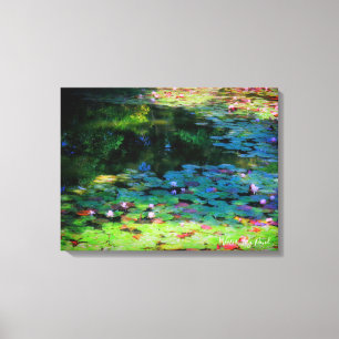 Water Lily Pond:Premium Canvas Print