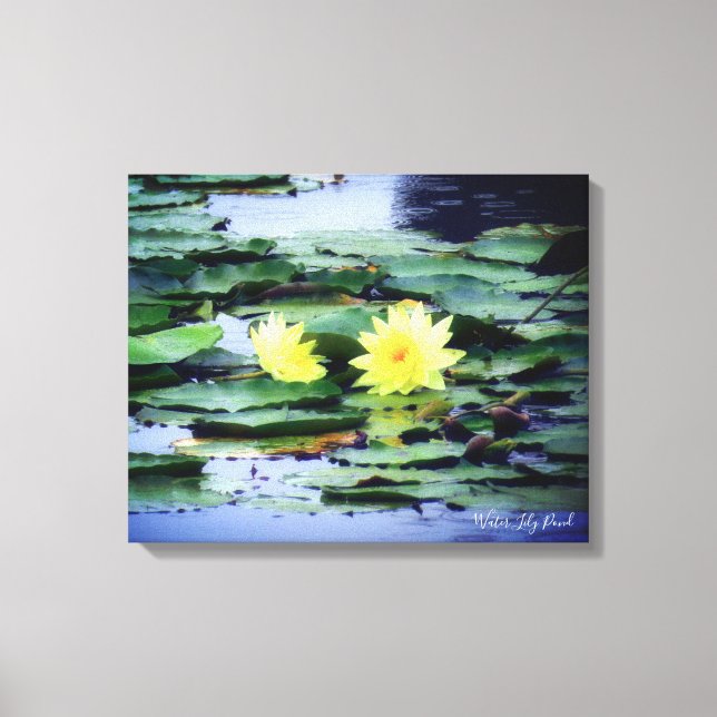 Water Lily Pond:Premium Canvas Print (Front)