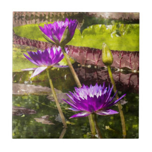 Water Lily Pond Tile