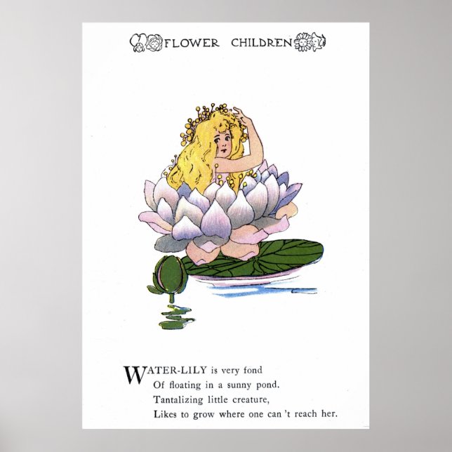 Water-Lily Poster (Front)