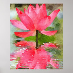 Water Lily Poster
