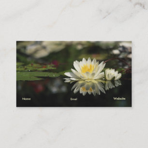 Water Lily Profile Card