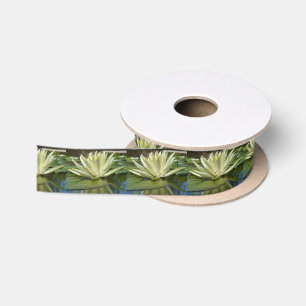 Water lily satin ribbon