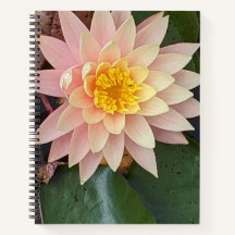 Water Lily Spiral Notebook