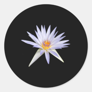 Water Lily Stickers
