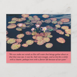 Water Lily Stillness Postcard