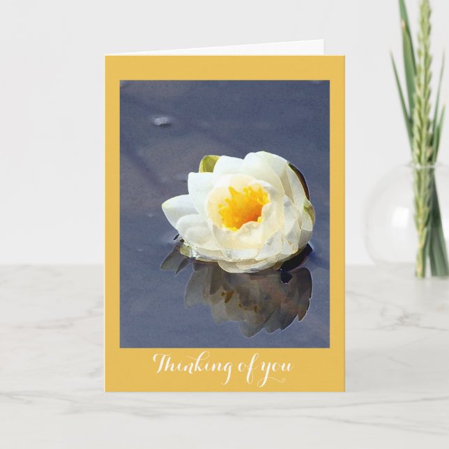 Water lily thinking of you card (Front)