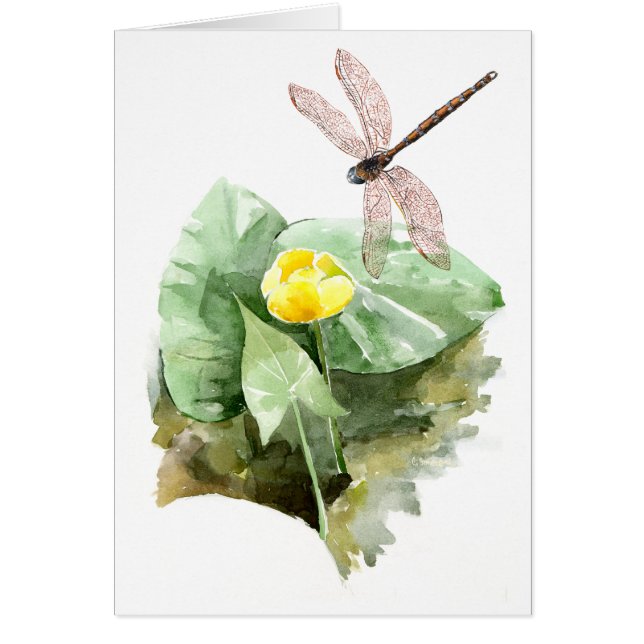 water-lily watercolor (Front)