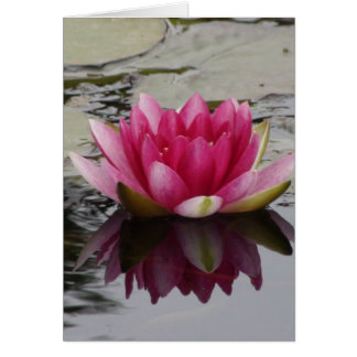 Water Lily Wedding Card