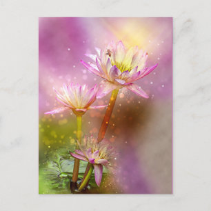 Water Lotus, exotic plant, Postcard