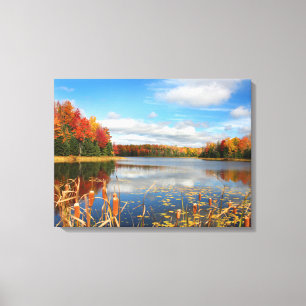 Water Mabel Lake Canada Canvas Print
