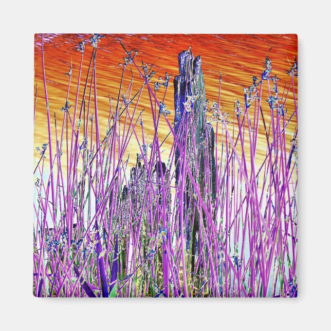 WATER MAGNET (Front)