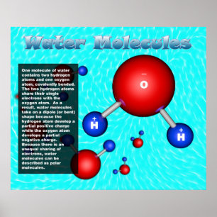 Water Molecules Poster