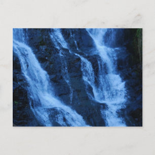 Water More Precious Than Gold Postcard