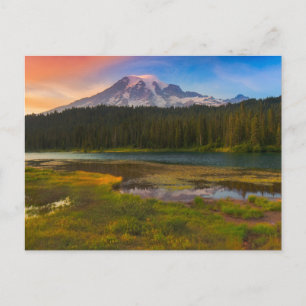 Water   Mt. Rainier National Park, Washington Postcard