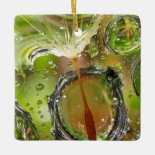 Water on dandelion seed, CA Ceramic Ornament